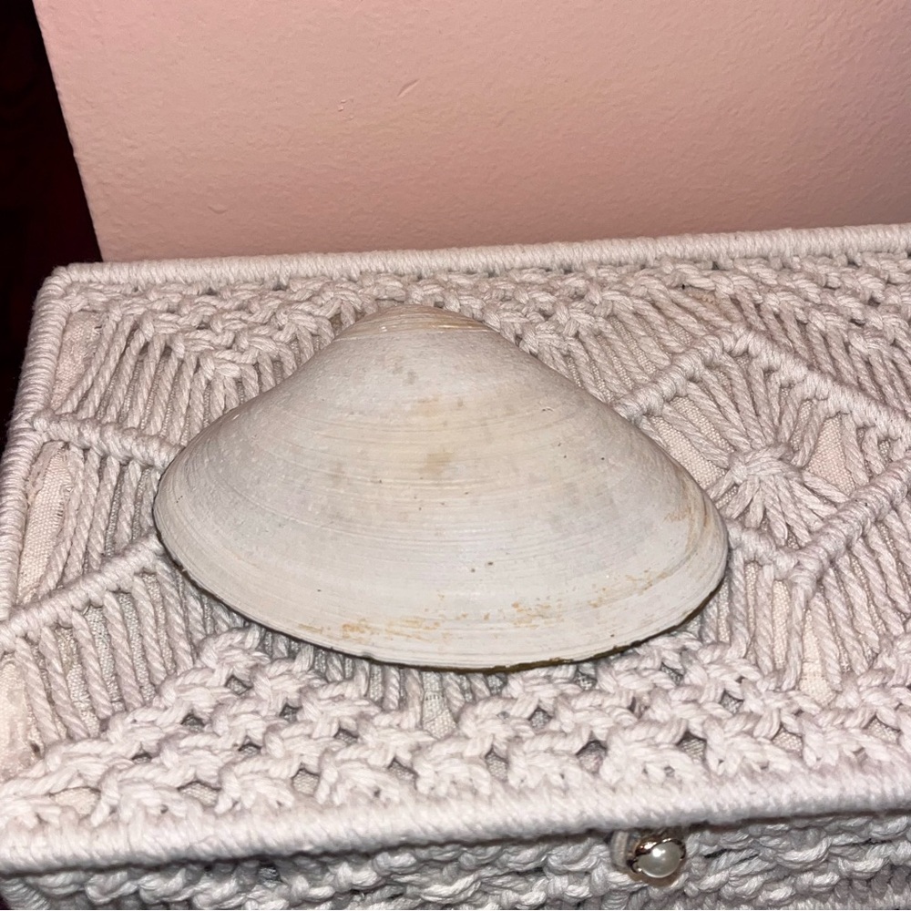 Shell Skull and Roses Trinket Dish - Picture 4 of 4